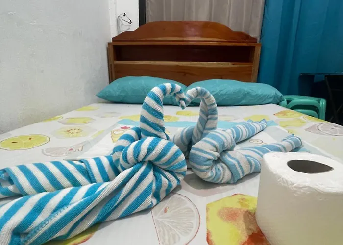 Jj's Place Hostel Moalboal