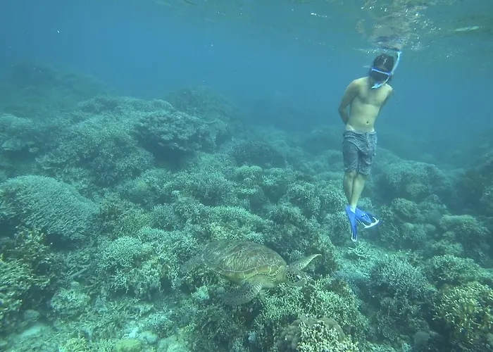 Jj's Place Hostel *